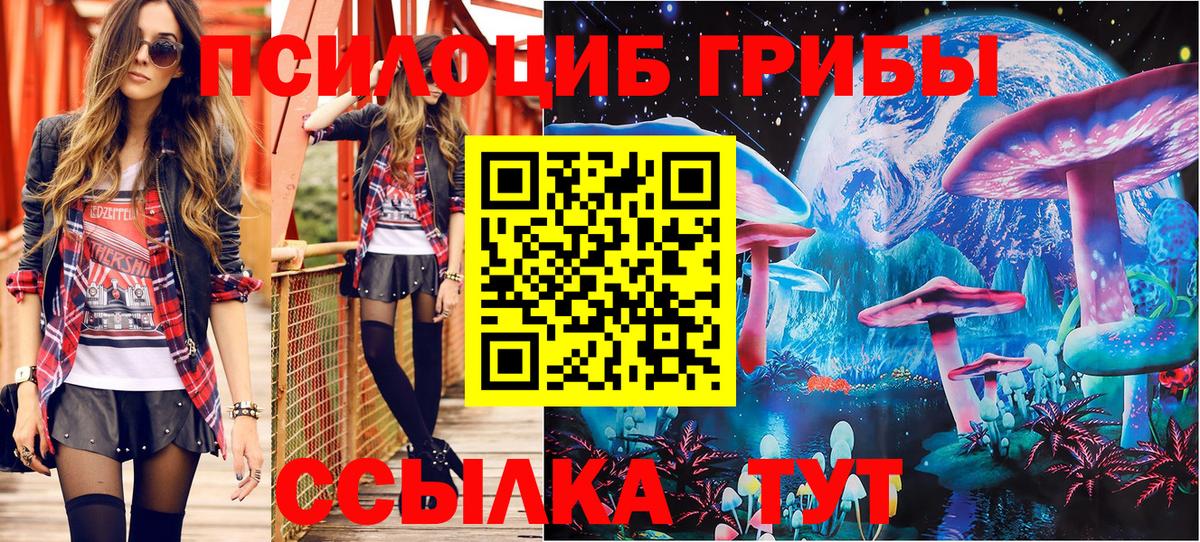 Протвино  Псилоцибиновые грибы Psilocybe  Галлюциногенные грибы Psilocybe  Вход с VPN 